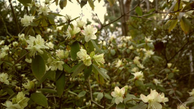 2013-04-23-0256R.keiskei.jpg