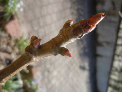 25.04.13_011.JPG