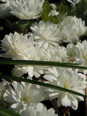 25.04.13_009.JPG