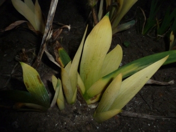 P1000102.JPG