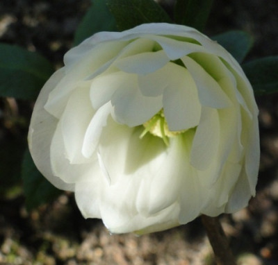 22.April_2013_126.JPG