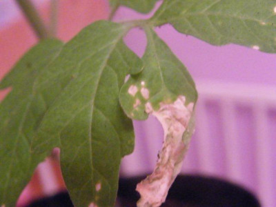 DSCF6073.jpg