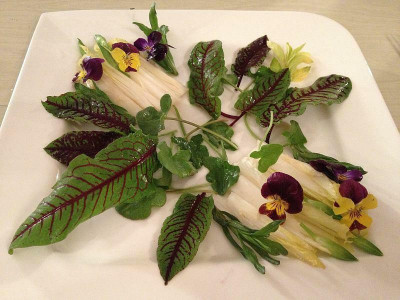 salat_20130428_zg.jpg