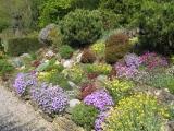 2009-04-08_-_Steingarten_-_Garten_forum_1.jpg
