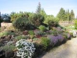 2012-05-17_-_Fruhling_2012_-_Gartenforum_3.jpg
