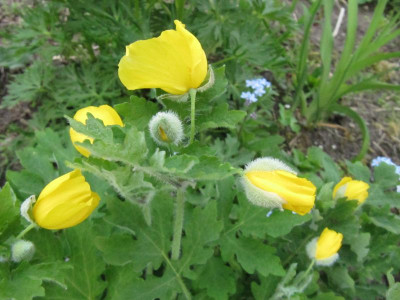 Unbekannt_130501.jpg
