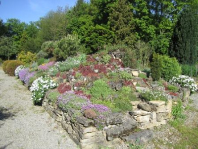 2012-05-17_-_Fruhling_2012_Steingarten_1.jpg