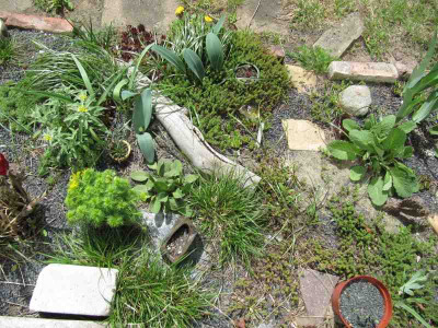 Sudstreifen_3_1300503.jpg