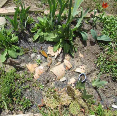 Sudstreifen_4_1300503.jpg