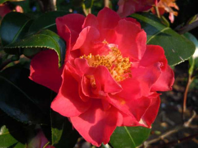 archiv_004.JPG