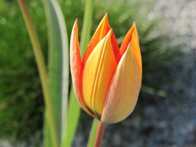 009_400x300.jpg