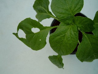 Web_SIMG0002.jpg