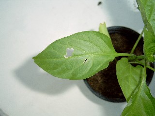 Web_SIMG0006.jpg