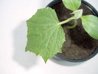 Web_SIMG0005.jpg