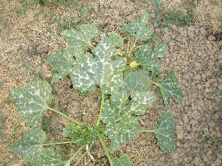 Web_SIMG0008.jpg