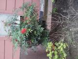 20130429_13351511.JPG