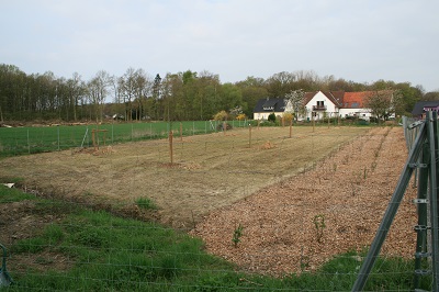 Streuobstwiese_sehr_verkl..I.jpg