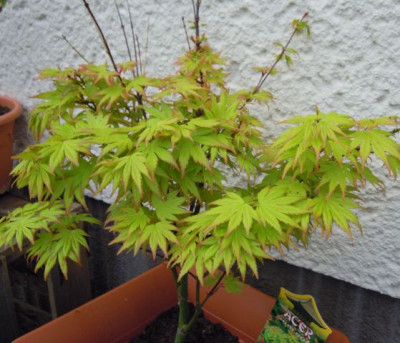 DSCN7078.JPG
