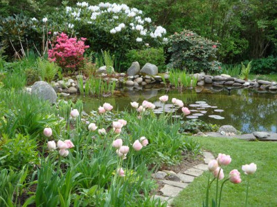 k-DSC07071.JPG