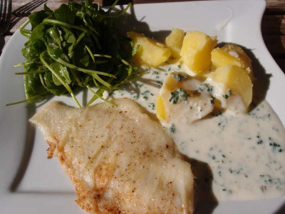 essen080513.jpg