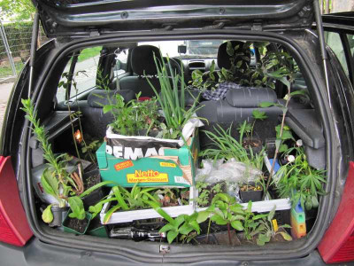 Auto_voll_2_130512.jpg