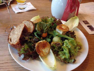 winzersalat_pillnitz_zg.jpg