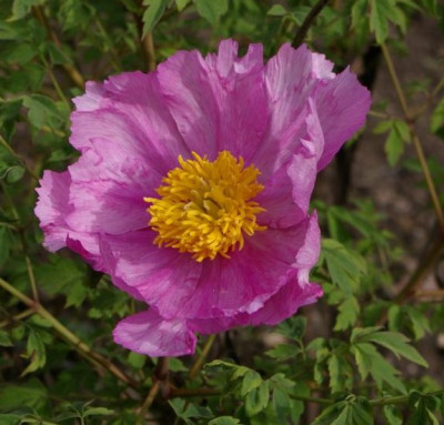 001f_37.JPG