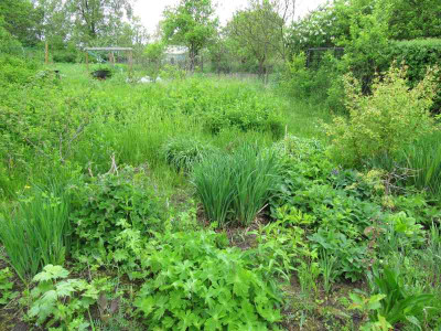 oilenpark_im_Mai_ohje_1.jpg