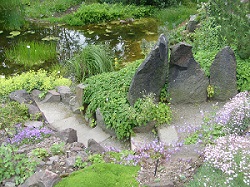 Botanischer_Garten.JPG