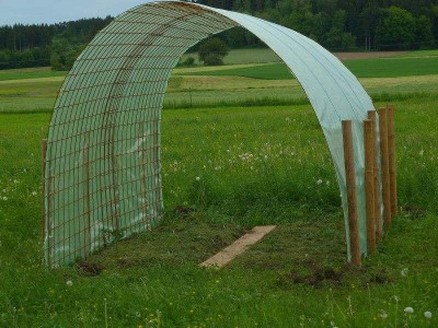 Tomatentunnel.jpg