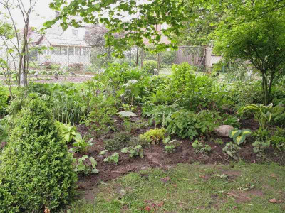 Waldgarten_uppiger_Bereich_pur.jpg