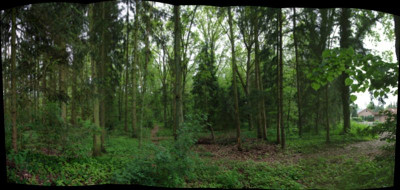 unserwald_stitch.jpg