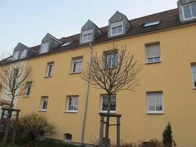Fraxinus_Meczek_1_ue.jpg
