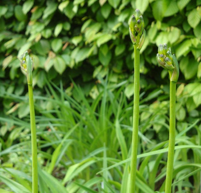 k-DSC07153.JPG