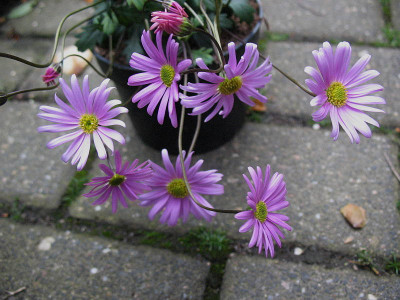 wer_bin_ich_...__15.5.13._011.jpg