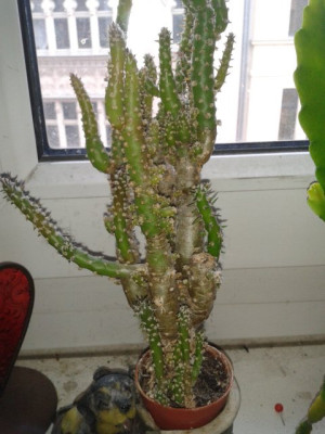 2013-05-23_14.31.13.jpg