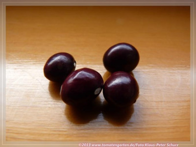 Asturische_Kirschkernbohen_SB2.jpg