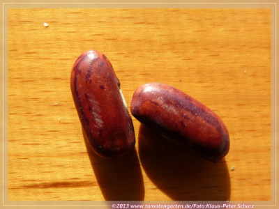 BB_Denil_Fin_Precoce02.jpg