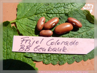 BB_Frijol_Colorado01.jpg