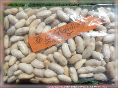BB_Goldschilling01.jpg