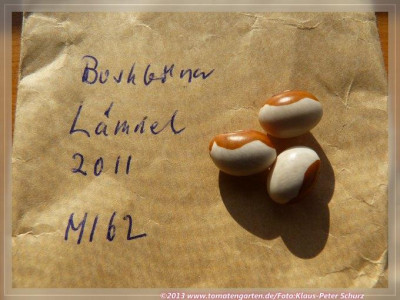 BB_Lamnel01.jpg