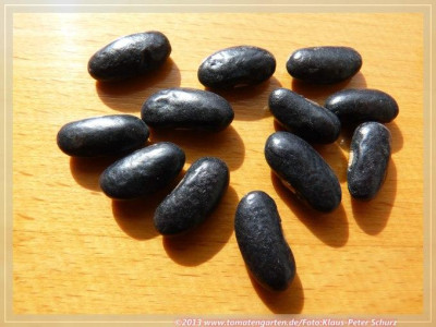 BB_Mazedonische02.jpg