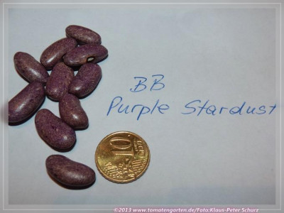 BB_Purple_Stardust.jpg