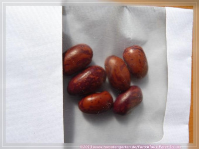 BB_Red_Speckled02.jpg