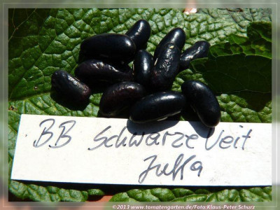 BB_Schwarze_Veit.jpg