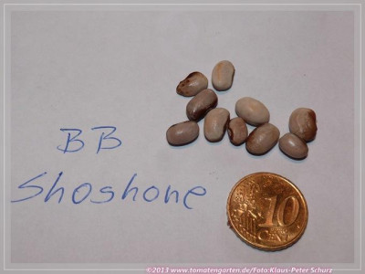 BB_Shoshone.jpg