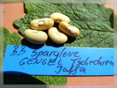 BB_Sparglove_Gengel.jpg