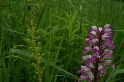 liliental_20130526_zg21.jpg