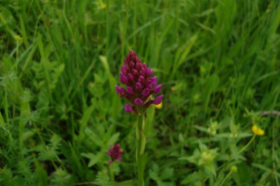 liliental_20130526_zg22.jpg