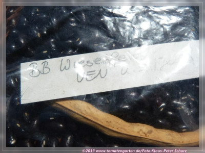 BB_Wiesenfelder01.jpg